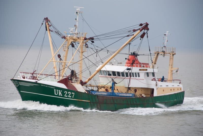 Commercial Fishing Solves Biggest Challenges with AI